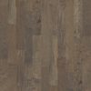 SHAW WOOD: YUKON MAPLE 5 - Image 2